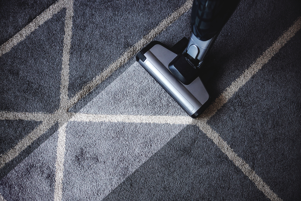 Read This First How Often Should You Steam Clean Your Carpet?